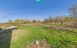 Proprietate impresionantă în Nădab - Poză 35