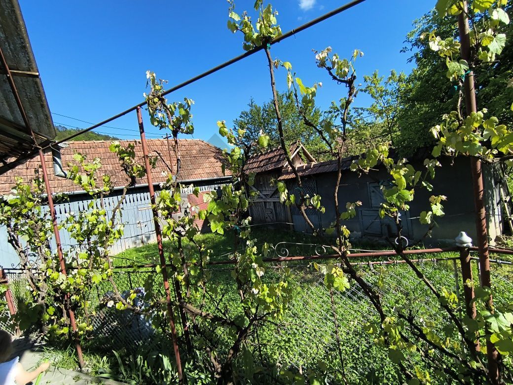 Casă de vânzare în Porumbeni – liniște, natură și confort, la doar ~20 minute de Târgu Mureș - Poză 5