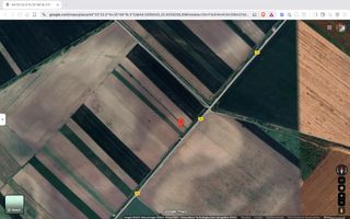 Teren extravilan 10.000 mp Tartasesti Dambovita - Poză 1