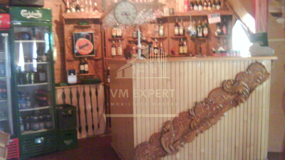 VILA - PENSIUNE CU RESTAURANT + SI TEREN 6406 MP, VALEA MARE PRAVAT, - Poză 12