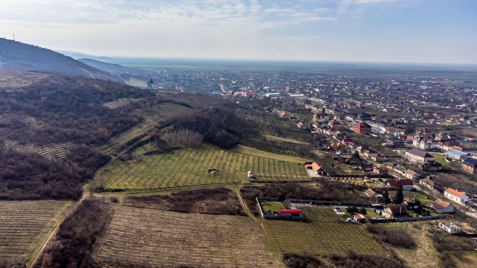 Teren intravilan în Șiria pe deal - Poză 3