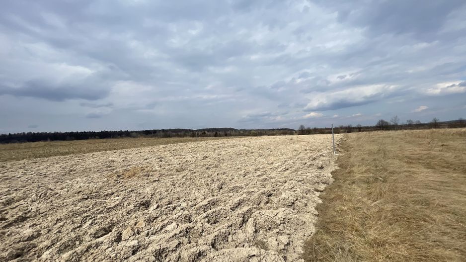 TEREN EXTRAVILAN | 23 ARI | HORODNIC DE SUS - Poză 1