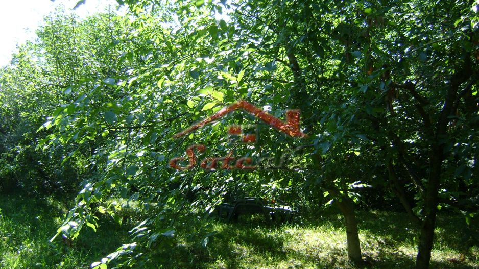 Teren de vânzare în Breaza– zonă liniștită, ideal pentru relaxare - Poză 11