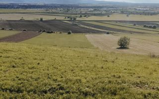 Teren intravilan I 1000MP I Gusterita - Poză 2