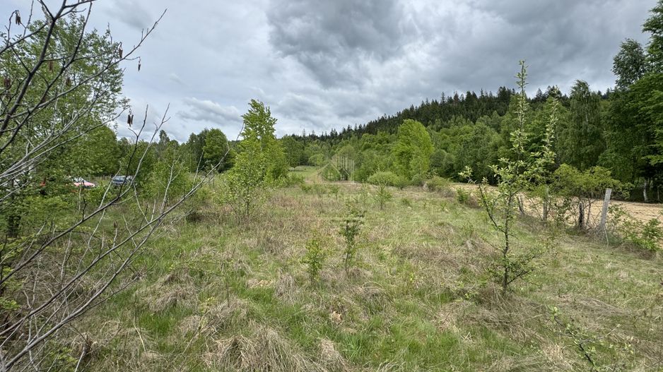 TEREN INTRAVILAN 6680 MP LERESTI ARGES - Poză 4