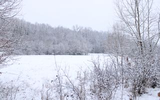 Super oferta I teren intravilan de vanzare in Cisnadie - Poză 8