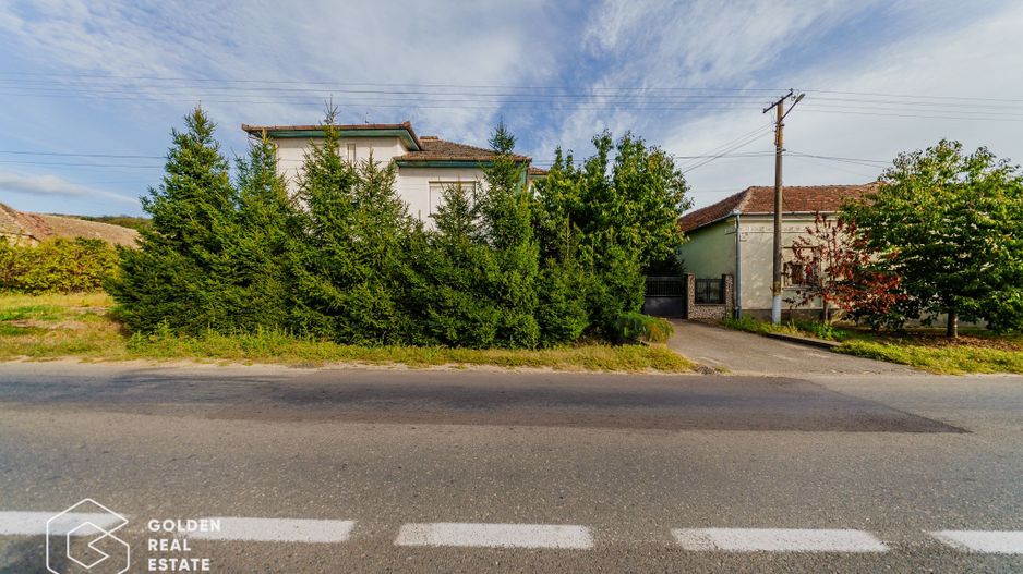 Vila superba, P+E,  Cuvin, 9 camere, 200 mp si teren 1300 mp plus anexa 3 camere - Poză 41