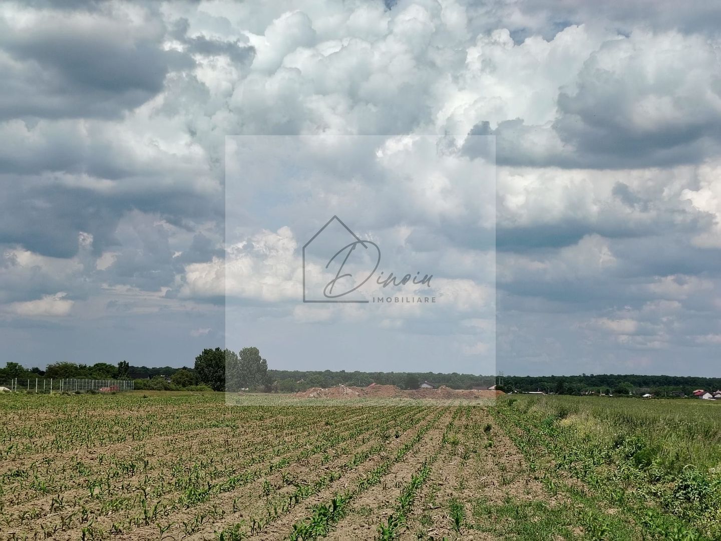 Teren intravilan Ciocanesti Cretu - 9282 mp divizat in 15 loturi - Poză 5