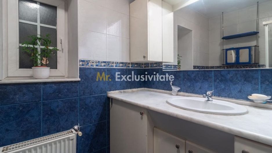Vila  Iancu Nicolae, cartier exclusivist - Poză 28