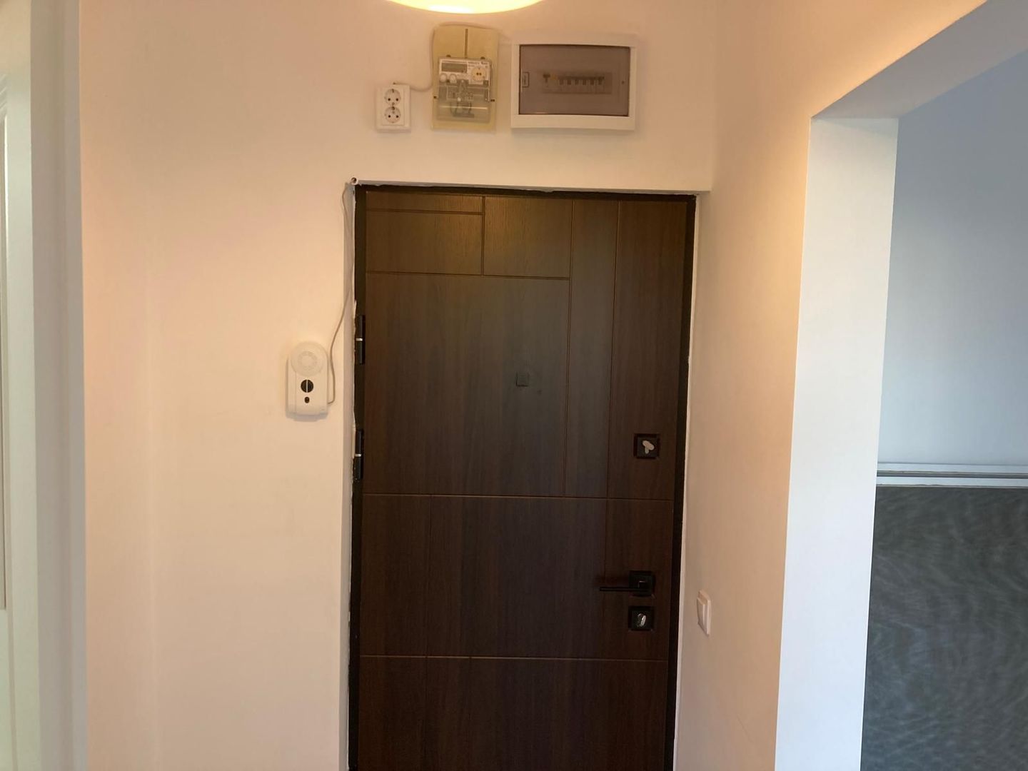 Apartament 2 camere, decomandat, Dristor - Poză 5