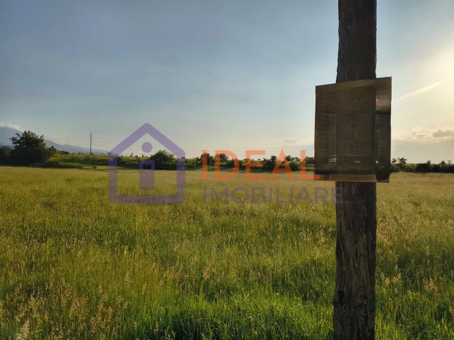 Teren extravilan de vânzare | Cârțișoara | 1800 mp - Poză 6