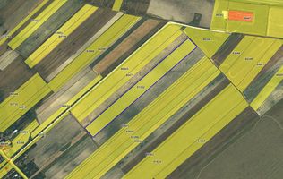 Teren agricol extravilan – Rătești, Argeș