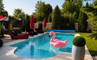 VILA SNAGOV WATERFRONT - PISCINA - PONTON 40M DESCHIDERE LA LAC - Poză 2