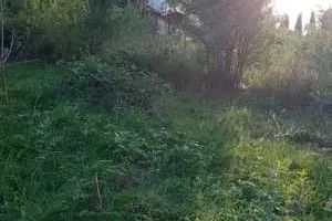 Teren intravilan 1000 mp | Cisnădioara-Sibiu| P+1+M | Utilități | - Poză 3