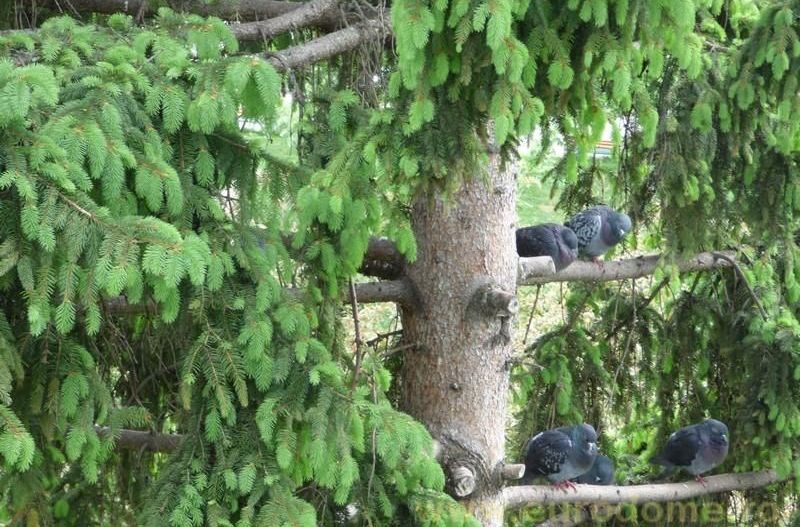 Exclusivitate garsoniera pretabila investitie, bloc de apartamente - Poză 11