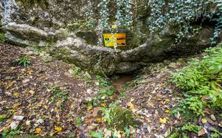 Domeniu în satul Căprioara - Poză 13