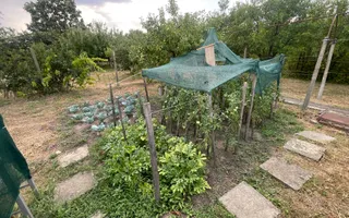 Casa | 9 camere | Garaj | Piscina | Teren 3.000 mp | Comision 0% - Poză 46