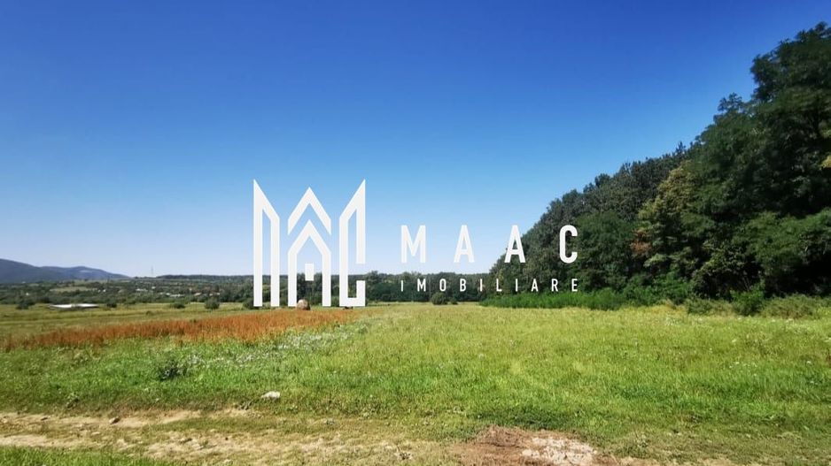 Teren extravilan I Parcelare I Rasinari - Poză 2