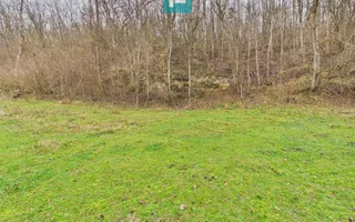 Casă cu teren de 24.679,73 mp, în Hălmagiu, Arad - Poză 25