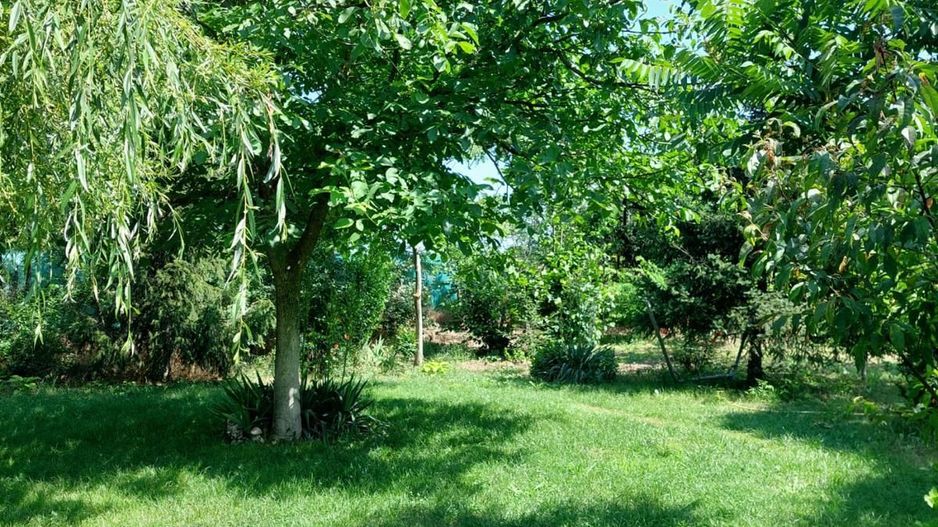 Casa 3 camere Parter Giurgiu Com Bucsani - Poză 1