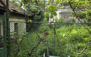 Casa 190mp cu teren 1100mp Lipovei - Poză 5