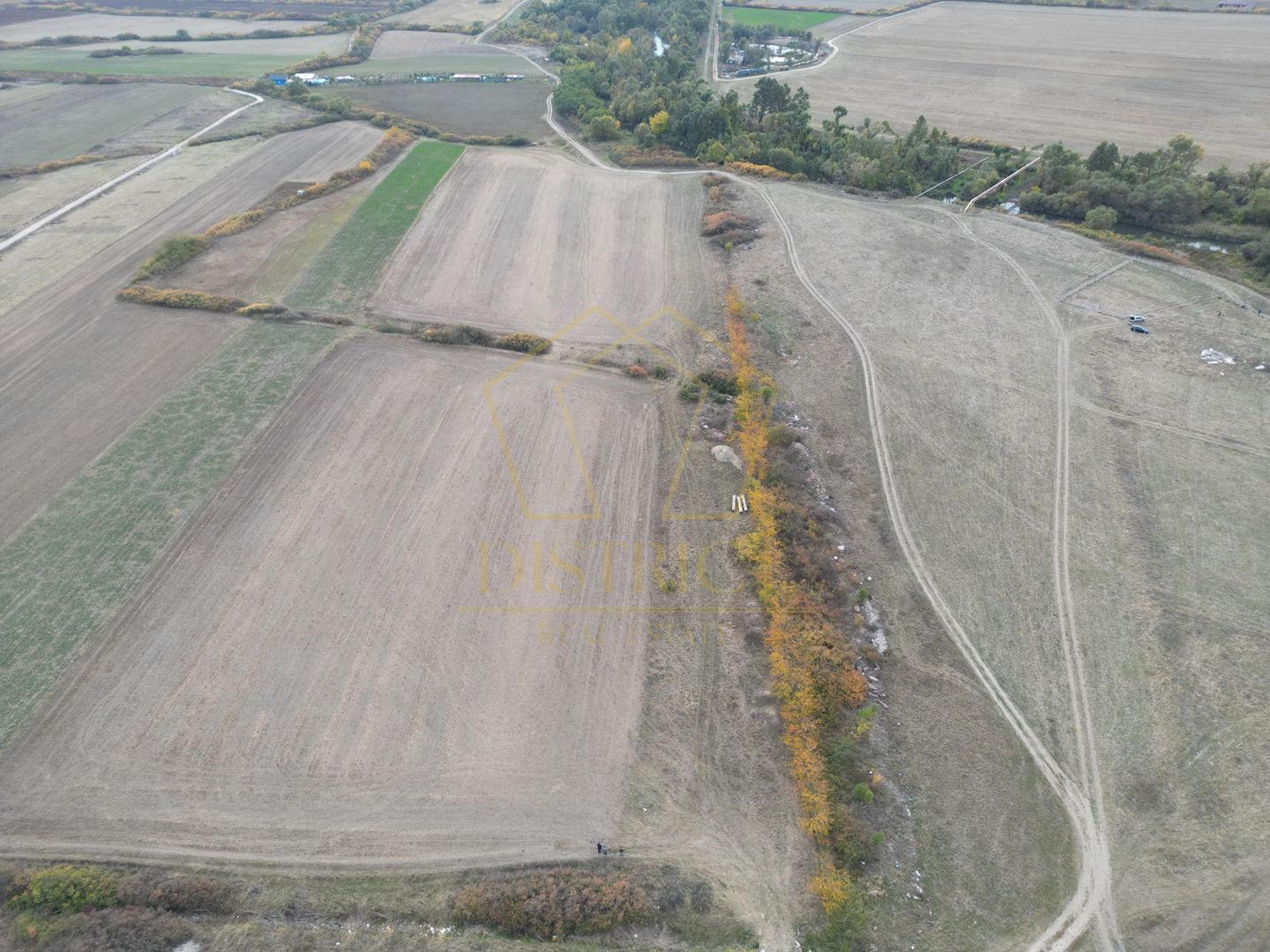 Teren arabil Intravilan 11600mp | LmP | Remetea Mare | COM 0% - Poză 2