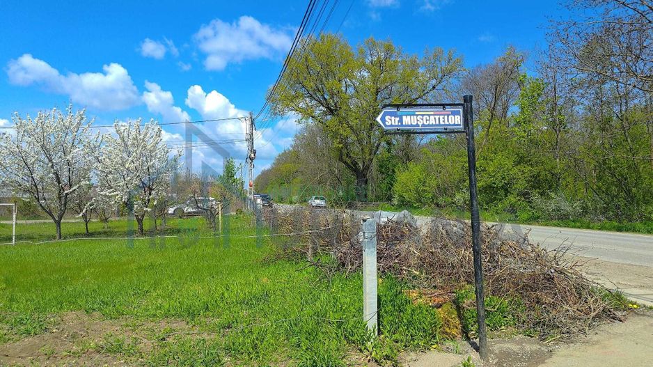 Teren intravilan în Breazu - Iași, vizavi de Pădurea Mârțești - Poză 6