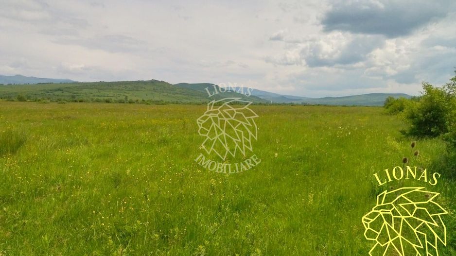 Teren 13100 mp-parcelabil-ideal cabana/agricultura-Orheiul Bistritei - Poză 1