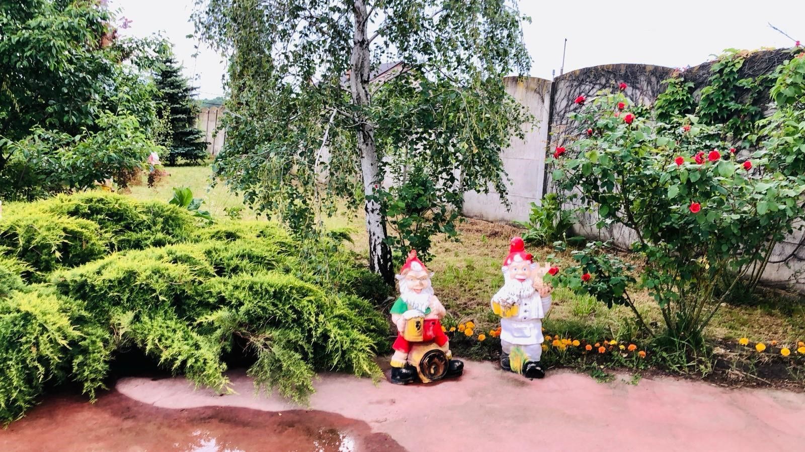 Vila Vulpesti Buzoesti - Poză 41