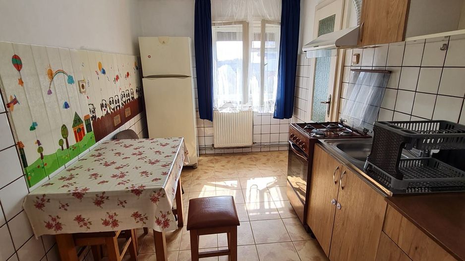 Apartament 2 camere la 5 minute de Shopping City - Poză 18
