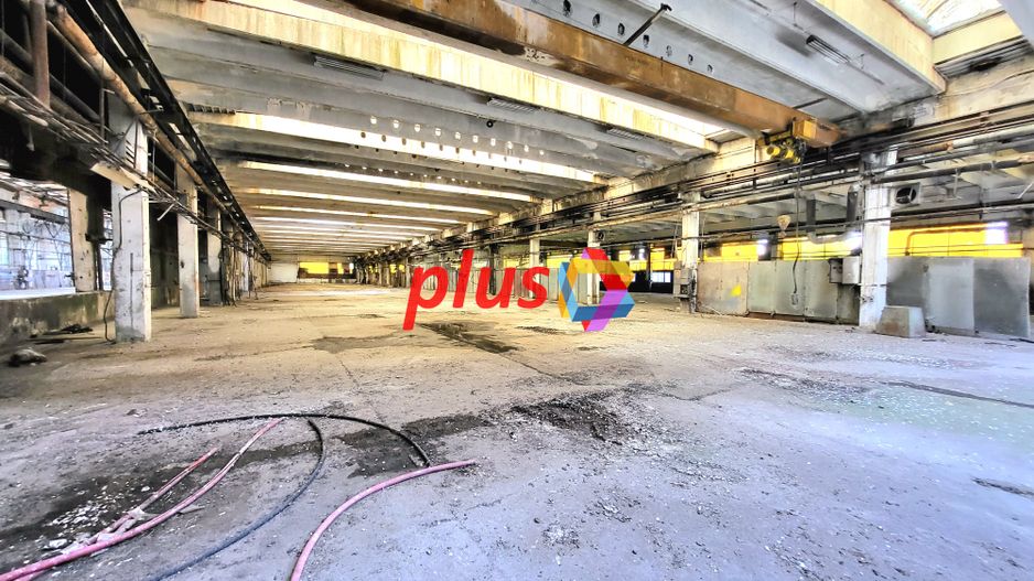 Hala - 8062 mp  # plus-imo.ro - Poză 7