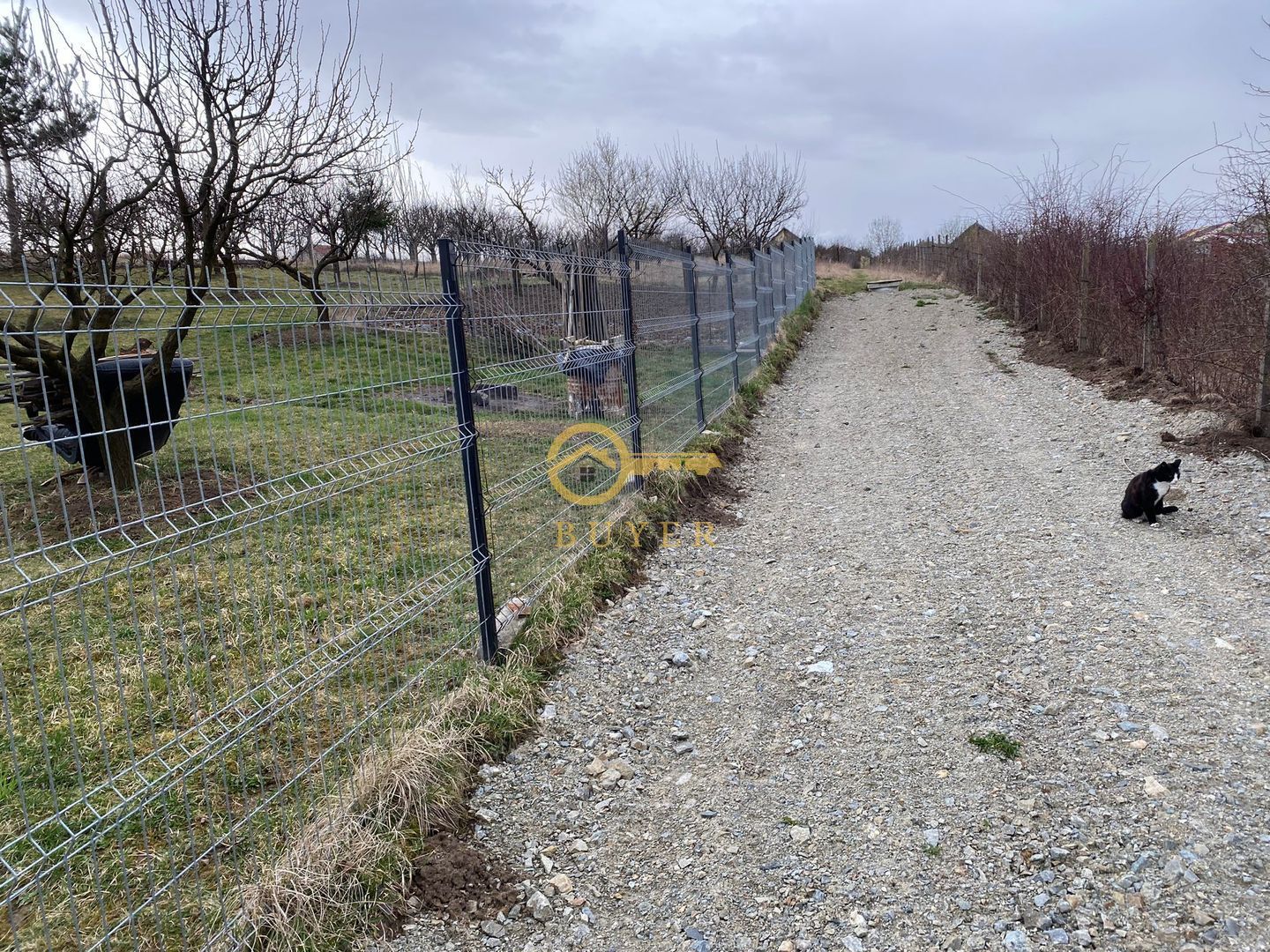 Teren de vanzare in Daia(apa, canal, curent,)- 800mp- Pret atractiv - Poză 4