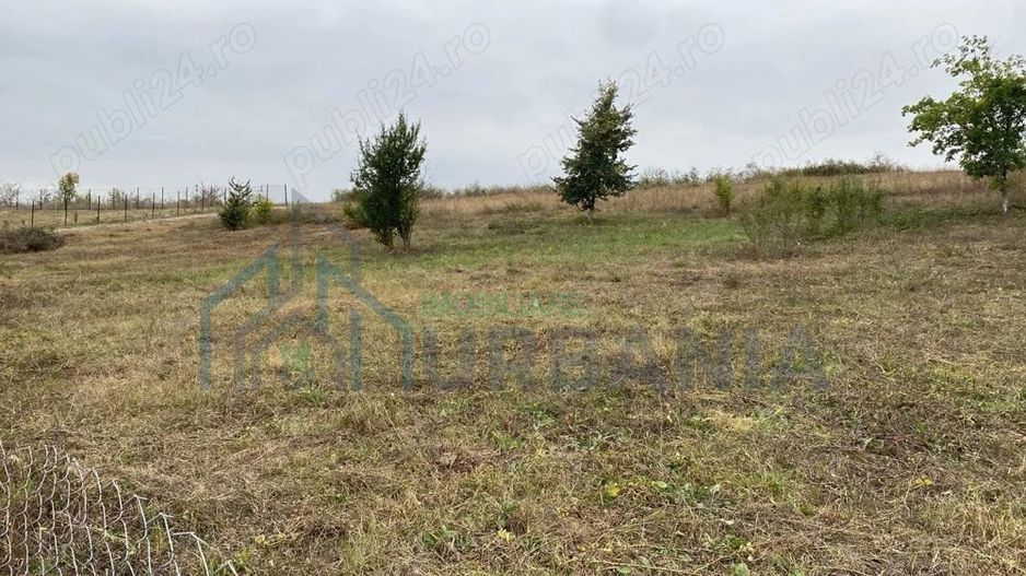 Vând teren extravilan (2026 intravilan) 2500 mp parcelabil zona hlincea lunca cetatuii - Poză 1