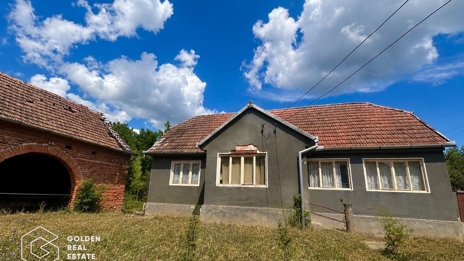 Casa traditionala cu teren 3.086 mp,  Căpruța, Arad - Poză 1