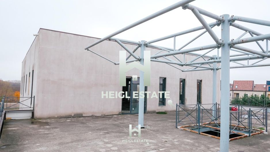 Sala de evenimente in Albina - Poză 14