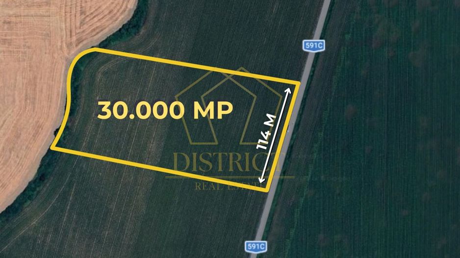 COM 0% Teren extravilan industrial la drumul judetean | Sacalaz - Poză 1