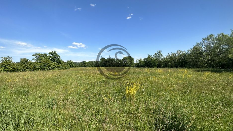 Teren intravilan de vanzare | 11.000 mp | Ghirdoveni | Comision 0% - Poză 10