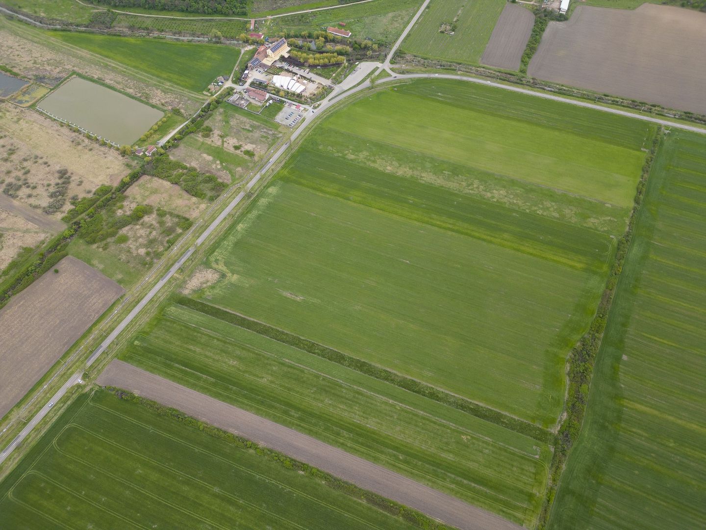 Teren extravilan de 22500mp Zona Ineu - Poză 10