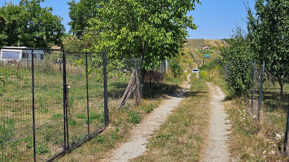 Teren 1.801 mp constructie casa individuala, Borhanci - Poză 6