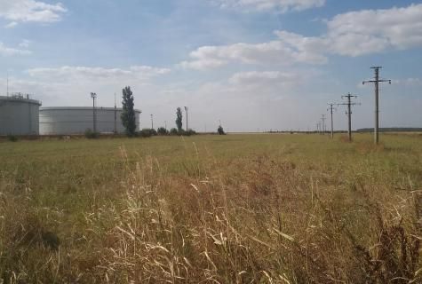 teren extravilan agricol Calareti - Poză 1