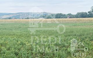 Teren extravilan Lugasu de jos, Bihor - Poză 1