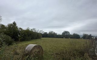 Teren intravilan 5.017 mp in Cisnadie, Sibiu - Poză 1