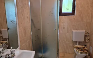 Vand Casa 2 corpuri, P+E, Romanilor, 4 cam, curte, zona de gratar, etc - Poză 21