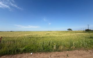 Teren 10 hectare pretabil pt panouri solare-Aricesti Rahtivani - Poză 3