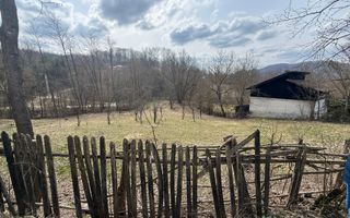 Teren intravilan la asfalt 2100 mp deschidere 21 mp la asfalt! - Poză 2