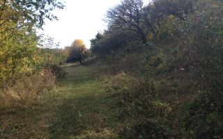 Teren extravilan de vanzare 1.125 mp Două fronturi Zona Gusterita - Poză 4