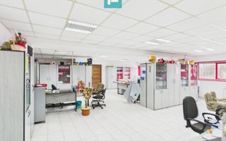 Hală de producție, cu birouri și teren, în Sebiș - Poză 31