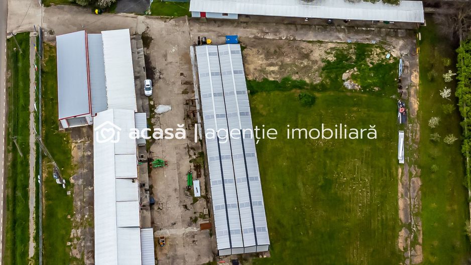 Hale depozitare/producție 2.000 mp si 10.000 mp teren în Pecica - Poză 4