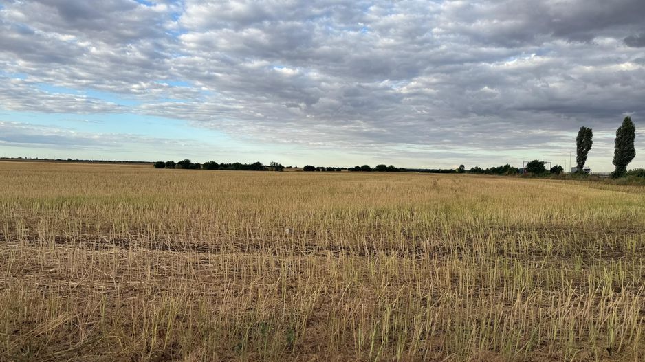 Teren intravilan Branesti - Poză 2