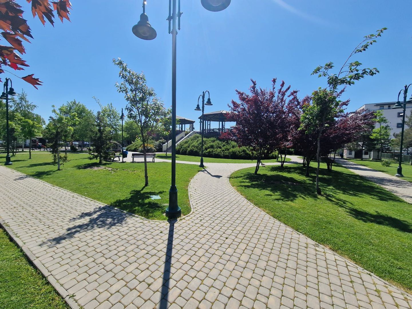 Teren ideal pentru casă P+1+M Otopeni, lângă Parcul Unirii - Poză 5